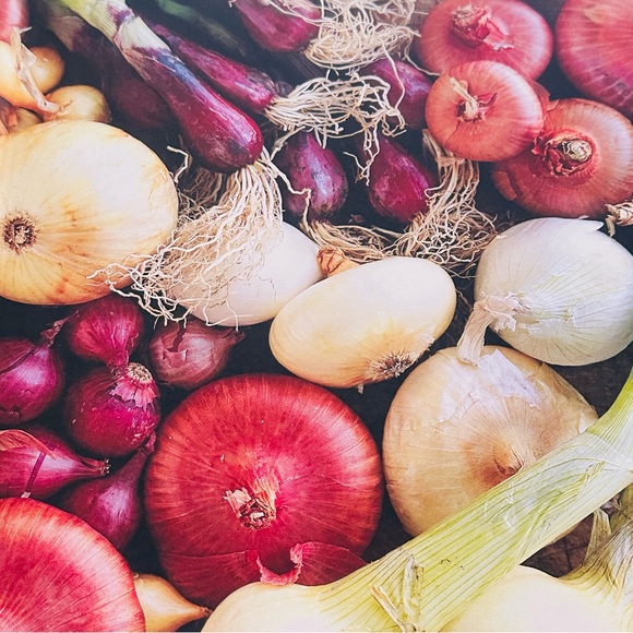 Williams-Sonoma Essentials of Slow Cooking Hardcover Cookbook Recipe Book - Picture 2 of 14